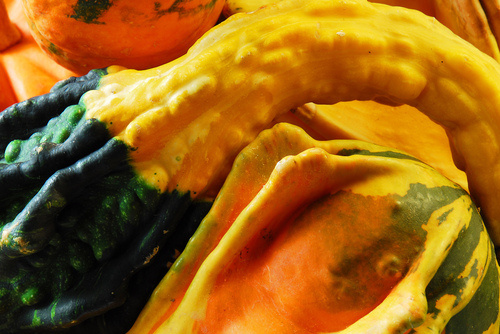 Illustration zum Artikel Wallpaper Roundup: Turkey Time und Pumpkin Pie